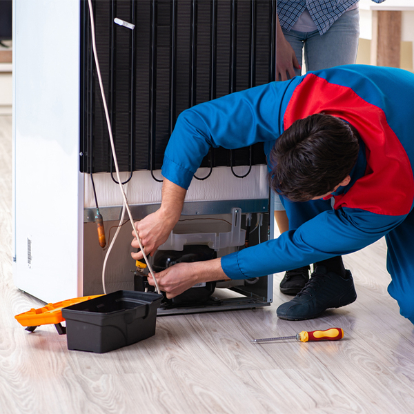 what are the common refrigerator repair services